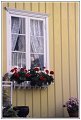 Roses dedans et dehors